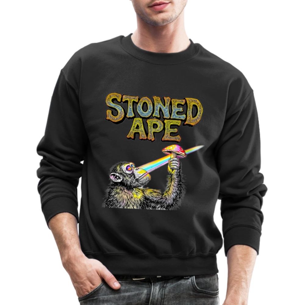 Stoned Ape Theory Crewneck Sweatshirt - black