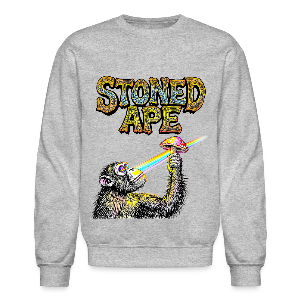 Stoned Ape Theory Crewneck Sweatshirt - heather gray
