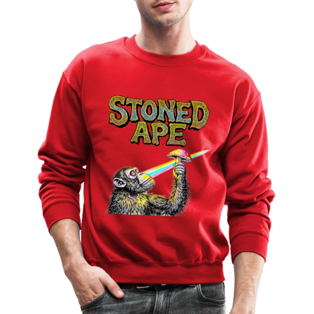 Stoned Ape Theory Crewneck Sweatshirt - red