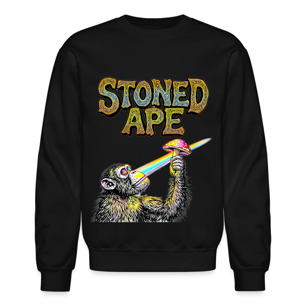 Stoned Ape Theory Crewneck Sweatshirt - black