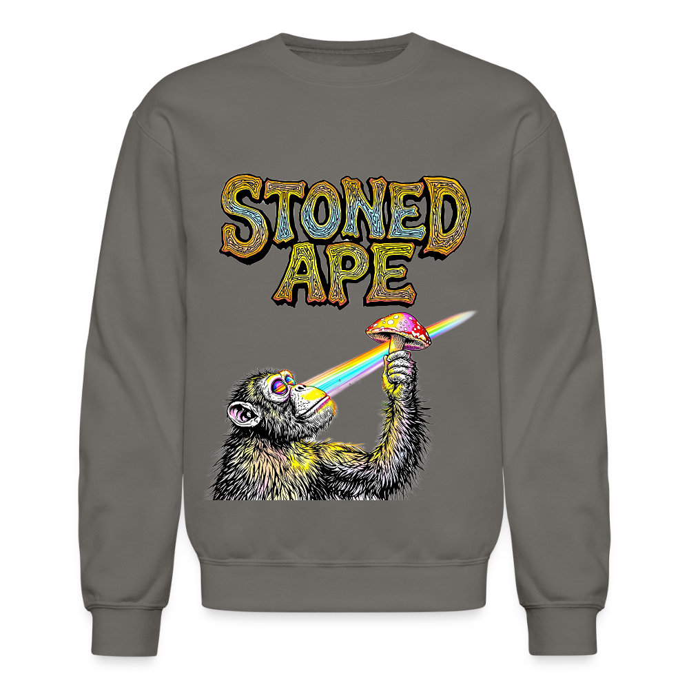 Stoned Ape Theory Crewneck Sweatshirt - asphalt gray