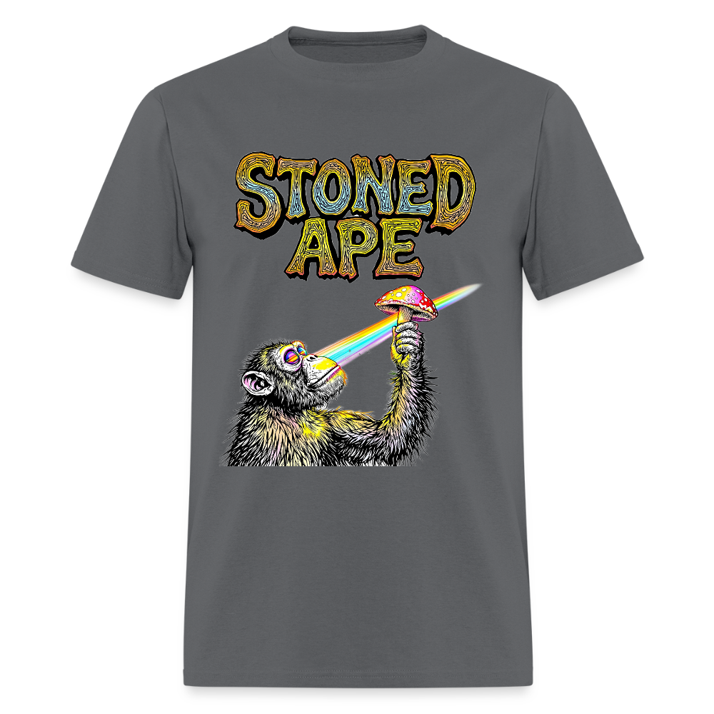 Stoned Ape Theory Unisex Tee - charcoal